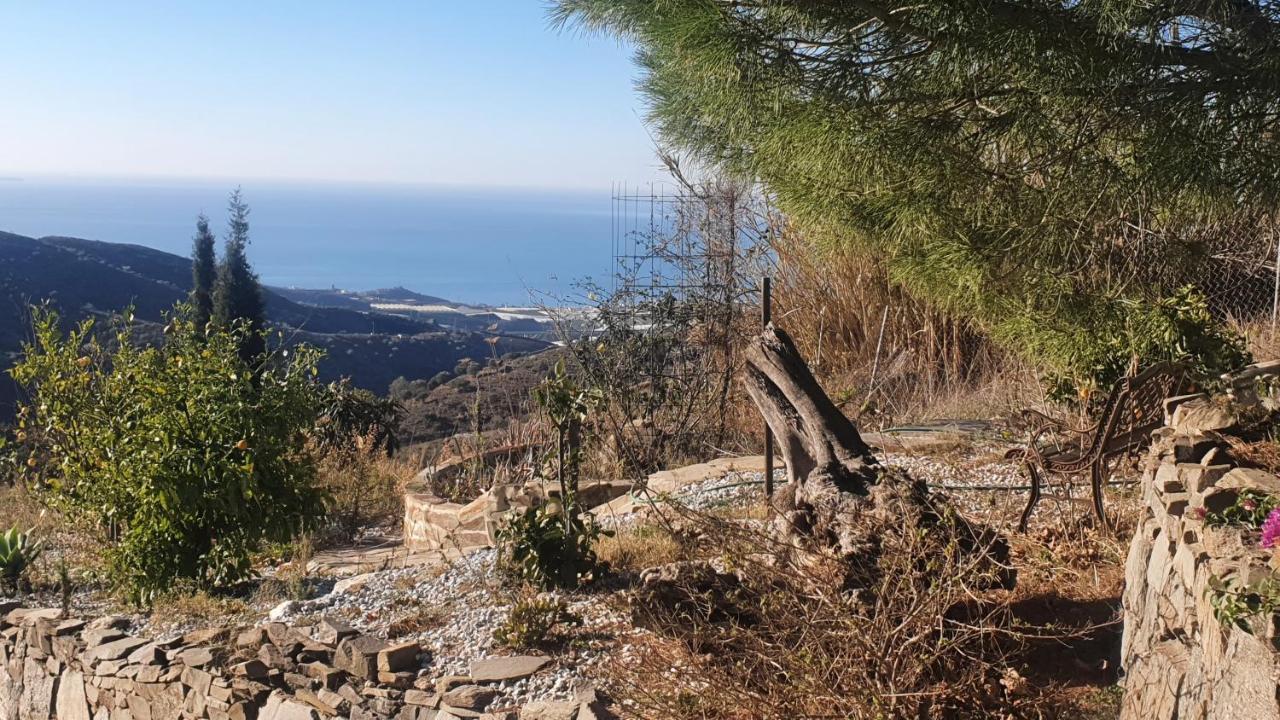 Finca Esperanza Costa Del Sol Sayalonga Екстериор снимка