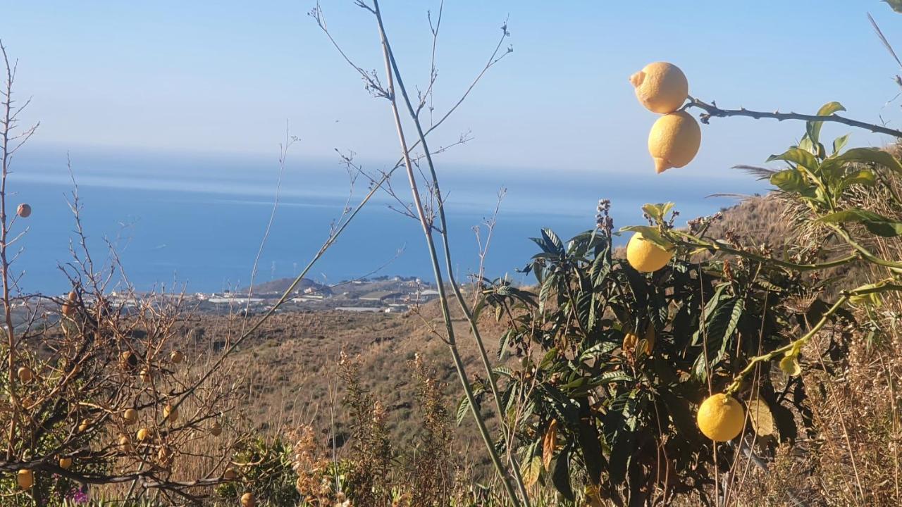 Finca Esperanza Costa Del Sol Sayalonga Екстериор снимка